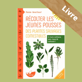 Récolter les jeunes pousses des plantes sauvages comestibles – Moutsie et Gérard Ducerf – Terran