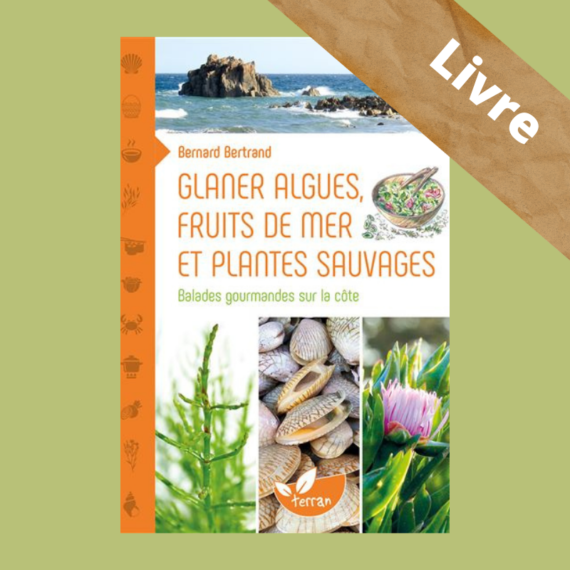 Livre glaner algues, fruits de met et plantes sauvages