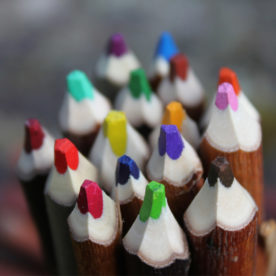 Fagot de 5 crayons de couleurs naturels en branche d’osier