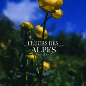 Fleurs des Alpes – Livre – François Couplan