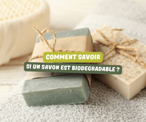 comment-choisir-savon-biodégradable-article-de-blog