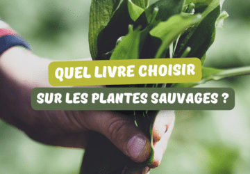 quel_livre_choisir_plantes_sauvages