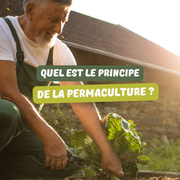 Quel est le principe de la permaculture ?