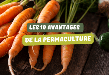 quels-sont-les-avantages-de-la-permaculture