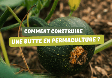 comment-construire-une-butte-en-permaculture