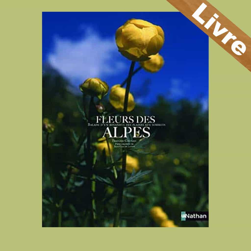 Fleurs des Alpes – Livre – François Couplan - 399575
