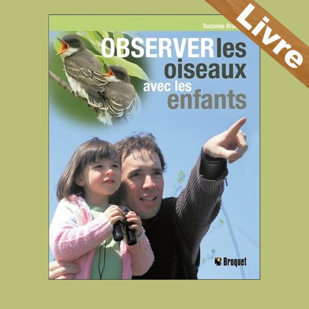 observer les oiseaux avec les enfants livre ornithologie suzanne brûlotte editions broquet